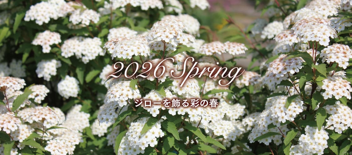 �W���[�m�َq�X