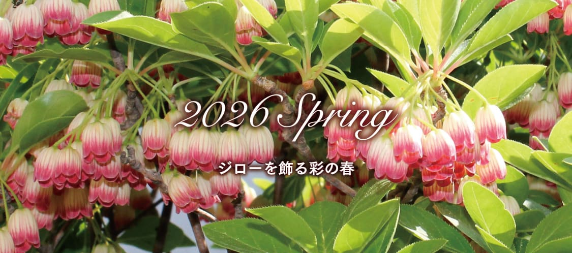 �W���[�m�َq�X