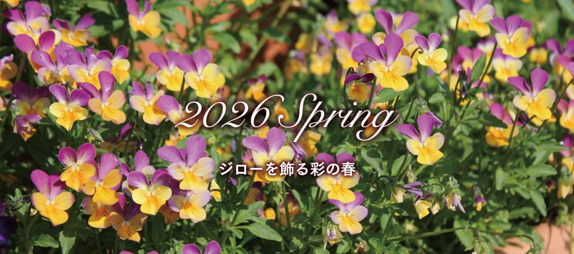 �W���[�m�َq�X